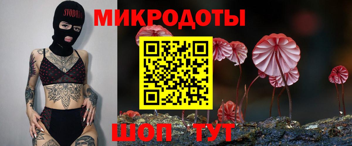 Псилоцибиновые грибы GOLDEN TEACHER Пугачёв