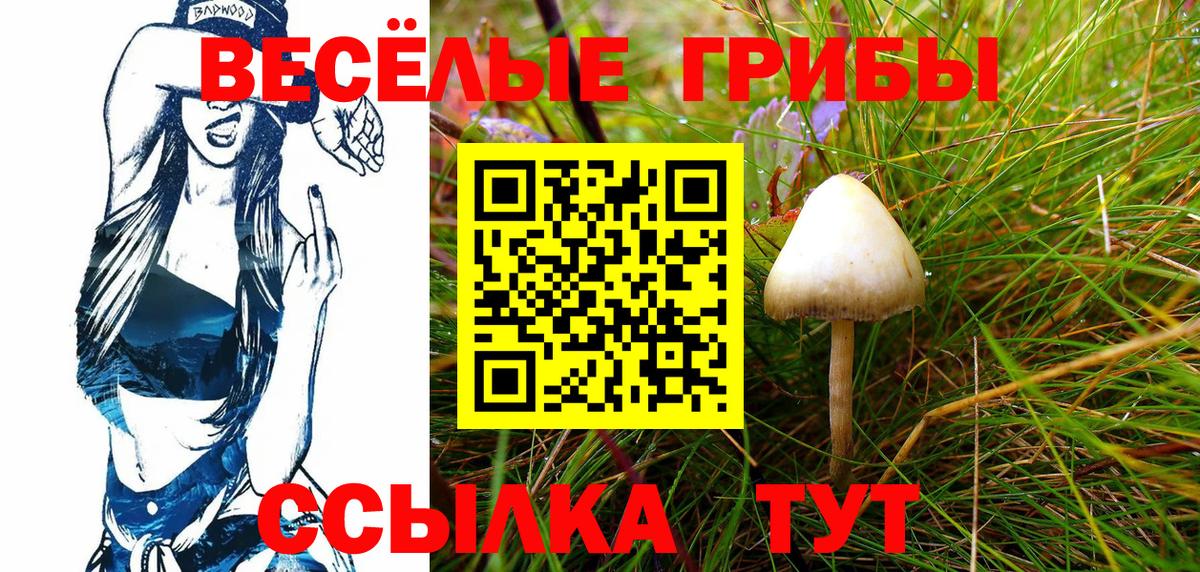 Псилоцибиновые грибы GOLDEN TEACHER  Вход с VPN  Пугачёв 