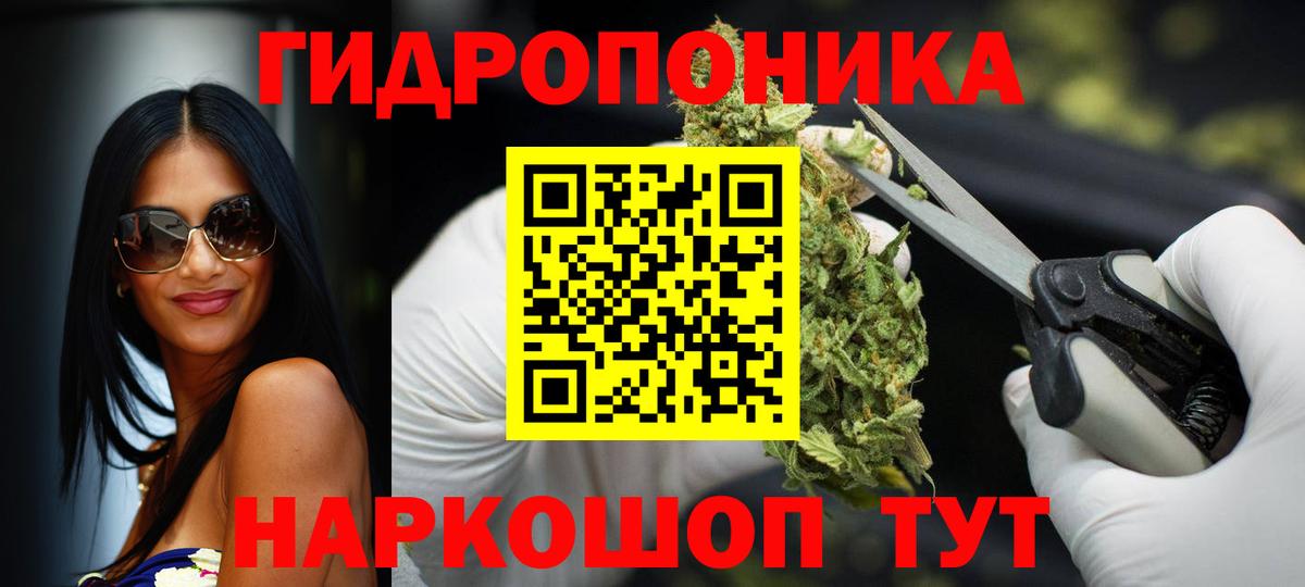 Бошки марихуана семена  Вход с VPN  Марихуана OG Kush  Конопля SATIVA & INDICA  МАРИХУАНА тримм  Пугачёв 